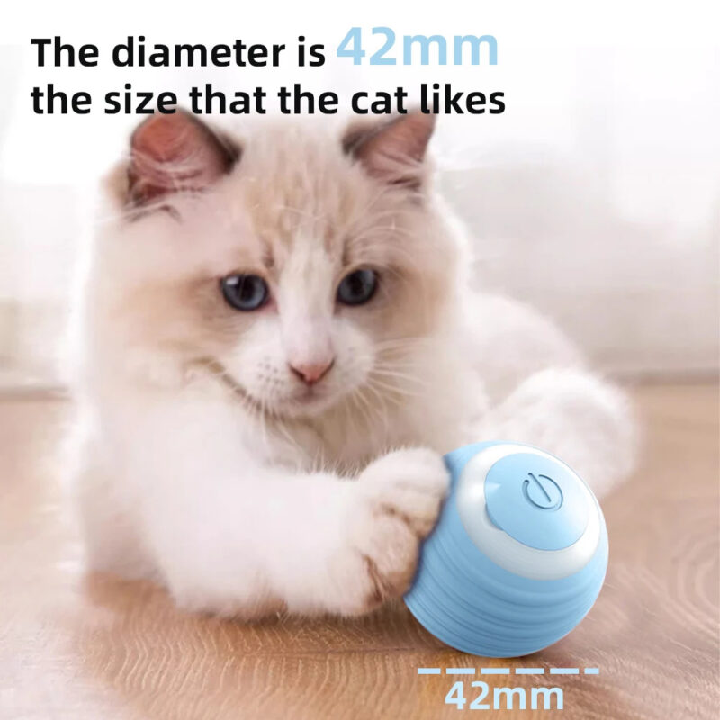 be36c5d1 7699 4b2c 9e3e de6e09f58724.jpeg